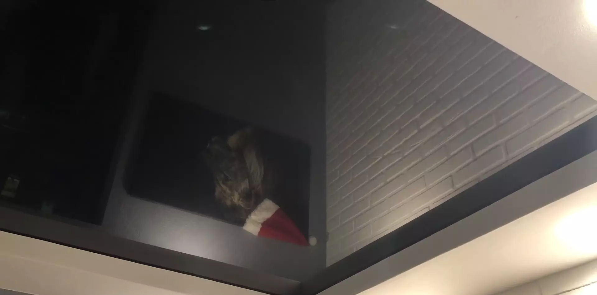 Жуковский, , фото 3